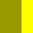 olive yellow square
